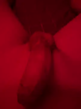 kevin344112 online show from 12-12-24, 11:03