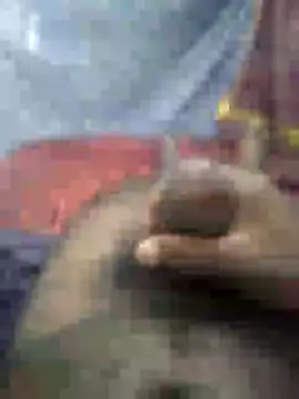 mallucallboy2104 online show from 01-15-25, 04:47