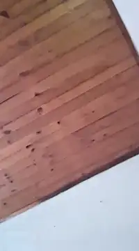 Snapshot of DANIELA_MICHEL chatting on 01-19-25, 08:41 DANIELA MICHEL online show from 01-19-25, 08:41