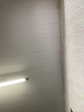 luara1988 online show from 10-23-25, 10:58