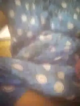 jessi telugu online show from 12-05-24, 12:33