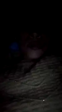 Snapshot of maftel chatting on 02-19-25, 12:57 maftel online show from 02-19-25, 12:57