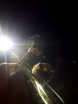 Snapshot of Beyond1978 chatting on 01-09-26, 02:47 Beyond1978 online show from 01-09-26, 02:47