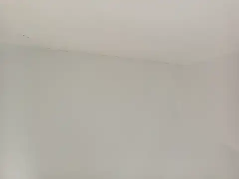 paladerler online show from 03-25-26, 12:38