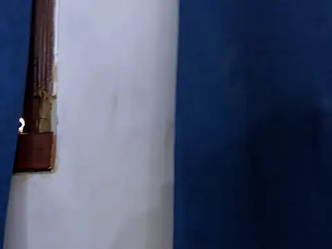 Fernanda brown18 online show from 11-27-25, 09:06