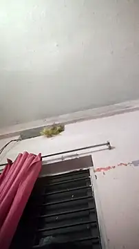 sana14 online show from 04-08-26, 04:51