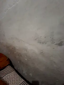 Snapshot of menakshiiikaur chatting on 12-19-24, 01:40 menakshiiikaur online show from 12-19-24, 01:40