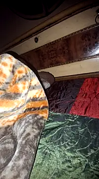 Snapshot of menakshiiikaur chatting on 03-11-25, 05:35 menakshiiikaur online show from 03-11-25, 05:35