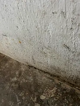 tamil000000 online show from 11-03-25, 03:30