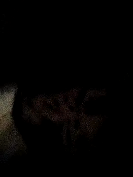 Snapshot of ruhi2003 chatting on 12-03-24, 11:33 ruhi2003 online show from 12-03-24, 11:33