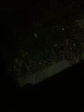 Nicusorescu26 online show from 10-14-25, 03:18