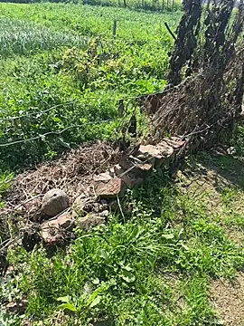 Snapshot of poision51 chatting on 02-23-25, 07:55 poision51 online show from 02-23-25, 07:55