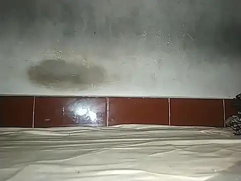 alansteer online show from 10-21-25, 08:15