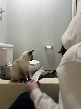 Snapshot of HotMessStilltheBest chatting on 01-21-25, 09:13 HotMessStilltheBest online show from 01-21-25, 09:13