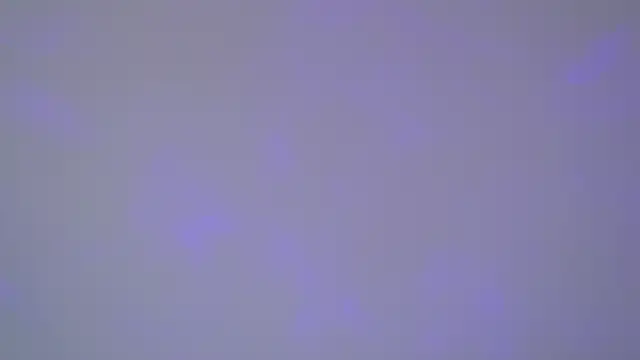 SelinSwarovski online show from 11-01-25, 05:09