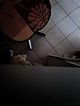 HardWolf2024 online show from 12-09-24, 02:49