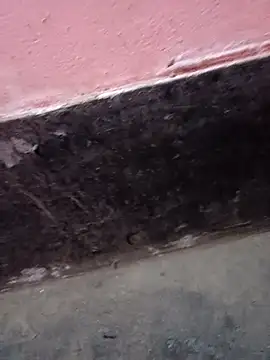 ScopalOr online show from 02-03-25, 07:40