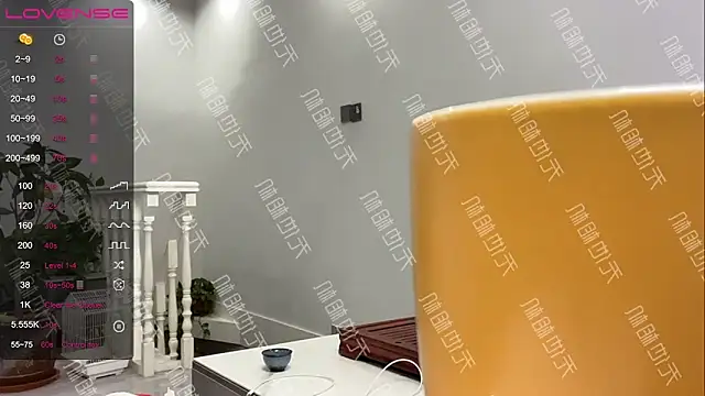 xinxin-521 online show from 12-20-24, 07:17