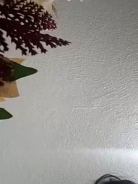 Naomy veracruz  online show from 02-11-26, 10:09