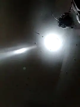 Innsaciable online show from 04-11-26, 11:31