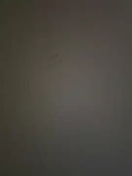 krishking1117 online show from 12-17-24, 06:45