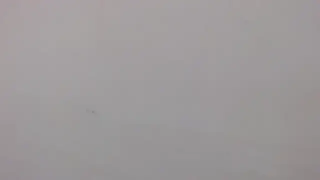 danilo302209 online show from 01-27-25, 03:07