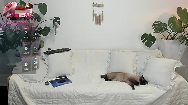 Amie Hill online show from 02-16-26, 07:37