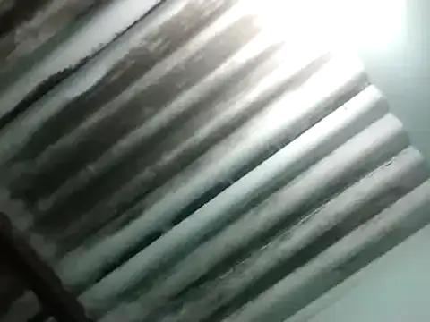 maximo vega newv online show from 01-06-25, 10:58