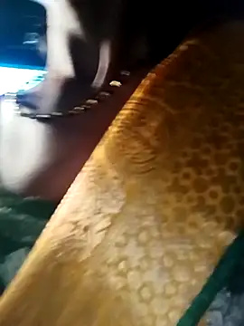 Kajal  Mehra online show from 03-28-26, 03:39