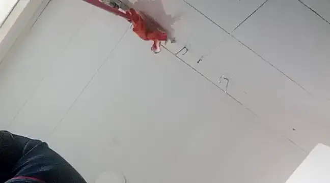 Snapshot of Darly_Gomez chatting on 01-02-25, 10:33 Darly Gomez online show from 01-02-25, 10:33