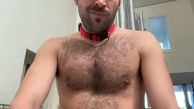 Snapshot of 69woodinson chatting on 02-06-26, 02:20 69woodinson online show from 02-06-26, 02:20