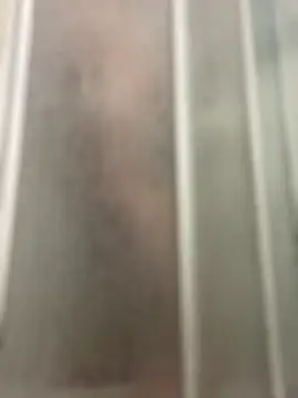 Snapshot of FrankJake99 chatting on 10-08-25, 11:24 FrankJake99 online show from 10-08-25, 11:24