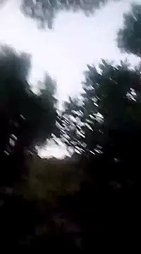 Snapshot of Danna-linyi chatting on 12-20-24, 11:37 Danna-linyi online show from 12-20-24, 11:37