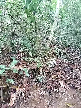 Snapshot of Danna-linyi chatting on 03-01-25, 08:10 Danna-linyi online show from 03-01-25, 08:10