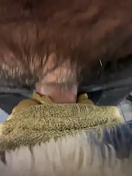 edgher646 online show from 04-25-26, 12:46