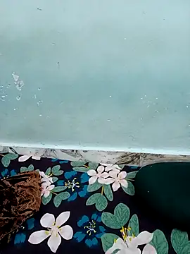 Haniya-143 online show from 12-15-25, 09:41