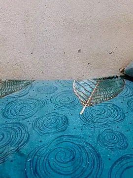 Linda-53 online show from 03-27-26, 08:30