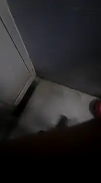 Snapshot of Ritikdesi chatting on 03-02-25, 05:23 Ritikdesi online show from 03-02-25, 05:23