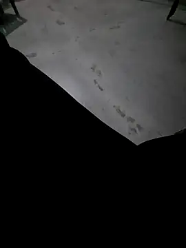 Snapshot of Ritikdesi chatting on 03-03-25, 02:36 Ritikdesi online show from 03-03-25, 02:36