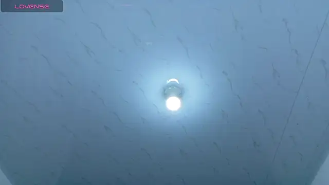 Beautifulkattia online show from 03-01-26, 01:18