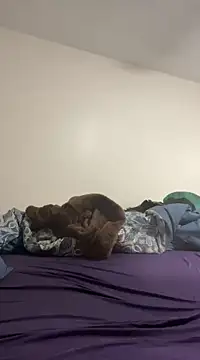 Snapshot of daddymaniaco69 chatting on 12-28-24, 04:52 daddymaniaco69 online show from 12-28-24, 04:52