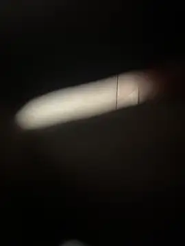 Indiancockmilk online show from 12-28-24, 03:15