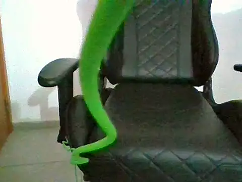 NovinhoPirocudo6999 online show from 01-08-25, 10:27