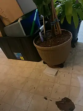 Thickirishcock850 online show from 03-23-26, 09:24