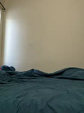 Snapshot of priyadevi17 chatting on 01-05-25, 03:43 priyadevi17 online show from 01-05-25, 03:43