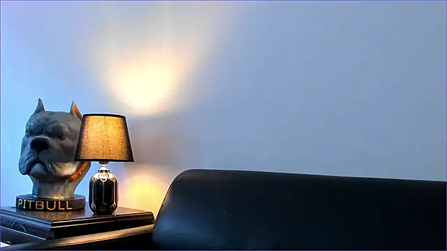 Snapshot of BradLeon_ chatting on 10-08-25, 05:54 BradLeon online show from 10-08-25, 05:54