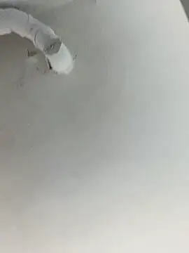 Snapshot of ekskekejejej chatting on 09-28-25, 02:55 ekskekejejej online show from 09-28-25, 02:55