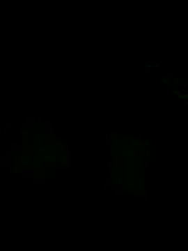 Snapshot of andreiwhite2_ chatting on 12-18-25, 12:06 andreiwhite2 online show from 12-18-25, 12:06