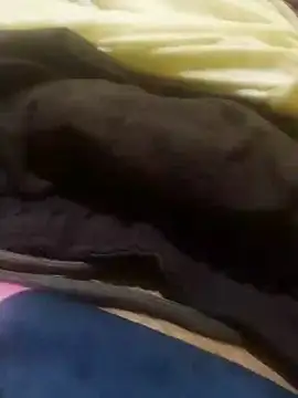 Snapshot of jarmesr7x chatting on 01-27-25, 02:42 jarmesr7x online show from 01-27-25, 02:42