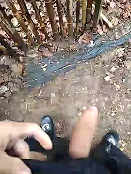 puertordic online show from 12-29-24, 01:38